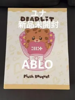 illit DEAR LIT HEE HEE ぬいぐるみ ブーケ ウォンヒ - メルカリ