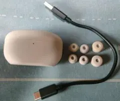 SONY WF-1000XM5 (プラチナシルバー)