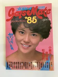 『ギャルズ•メイト•ベストセレクション'85』