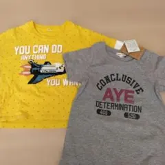 Item thumbnail for item 184bd4da-8a00-4335-b7ac-a52e874f7206