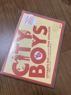 Mr. & Ms. EVERYBODY サザンオールスターズ 写真集 - メルカリ