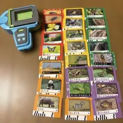 叫聲導航 鳴叫聲問答 巧連智 益智玩具 幼兒園小班 幼兒園中班 Hop