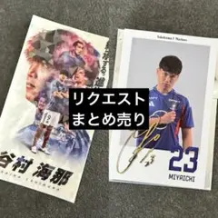 【aachan様リクエスト】2点 まとめ商品