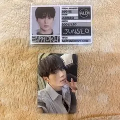 ALD1 ジュンソ スタッフパス トレカ 封入 freak alarm