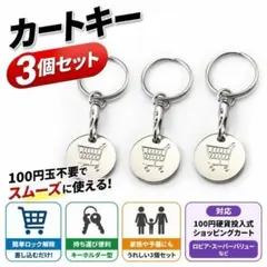 カートキー 3個セット キーホルダー 100円代用 丸型 カート