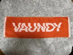 2026年最新】vaundy タオル オレンジの人気アイテム - メルカリ