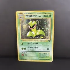 ポケモンカードe ウツボット (キラ) 第3弾 海からの風 011/087 6l