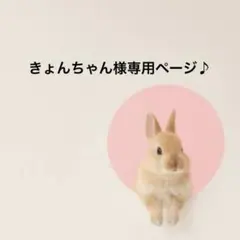 きょんちゃん様専用ページ♪
