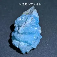ヤモリ ホルマリン漬け 透明標本 - メルカリ