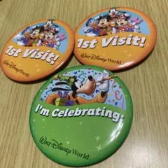 缶バッジ　フロリダ　ディズニーワールド　WDW Disney