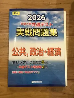 共テ　実践問題集　公共,政治・経済