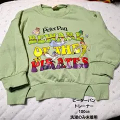 Disney Peter Pan トレーナー 100cmのサムネイル