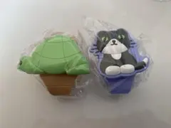 ガチャガチャ　時計　ミッフィー　カメ　ネコ