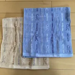 Item thumbnail for item 53455cec-cfb6-4159-8c94-35af37a22d3d