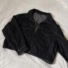 デニムジャケット UNIQLO ショート丈