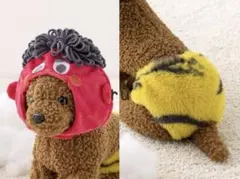 スリーコインズ 節分 ペット用鬼のパンツ ペット用鬼のかぶりもの