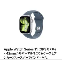 apple watch series 11 42mm 本体