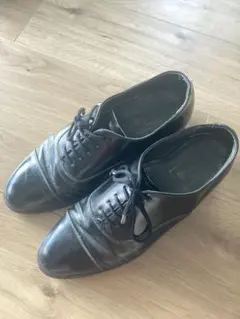 Item thumbnail for item c9058416-d9b7-419f-af17-e8435c954f75