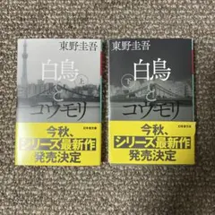 Item thumbnail for item bb1c95e2-66a7-4e98-b474-cb073332b64a