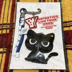 2025年最新】八木勇征 メンプロ キーホルダーの人気アイテム - メルカリ