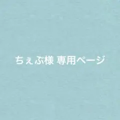 ちぇぶ様 リクエスト 3点 まとめ商品