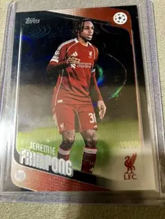 Item thumbnail for item 1afe0f4c-84ba-47a0-87fb-3398b67c6e23