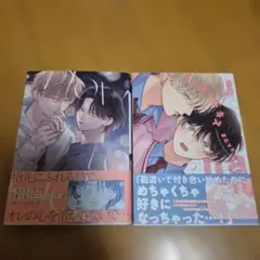 2026年最新】blまとめ売りの人気アイテム - メルカリ