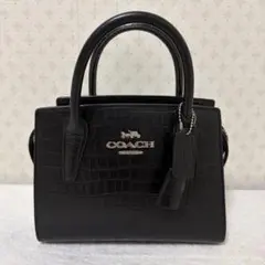 コーチ アンドレア キャリーオール ショルダーバッグ