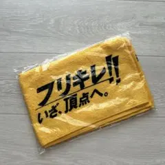 福岡ソフトバンクホークス 2009年鷹の祭典 フリキレマフラータオルのサムネイル