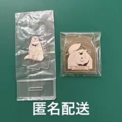 スパイファミリー ボンド 2点セット