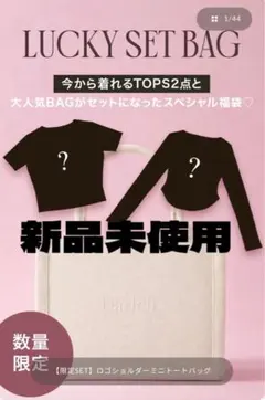 Darich♡新品【限定SET】ロゴショルダーミニトートバッグ