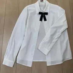 Item thumbnail for item 91cb32a8-3c97-4ebd-9b38-3d33c74ca48c