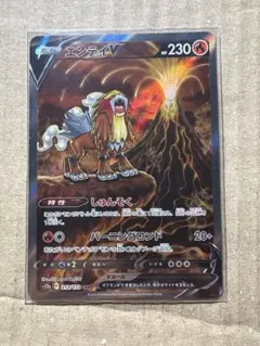 2025年最新】エンテイ sarの人気アイテム - メルカリ