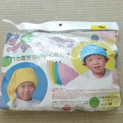 Item thumbnail for item e5267b69-4dfb-4ee6-b677-119d93664a23