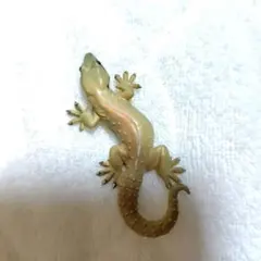 Item thumbnail for item bd88f725-3a90-4193-bb03-f0e01db3e6e3