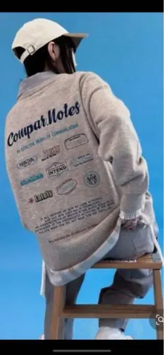 MODE NORM CORE エンブロイダリーニットプルオーバー