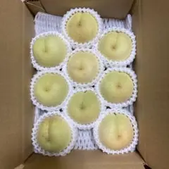 岡山産　白桃　冬桃　9玉