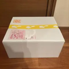 最安値プレシャス コレクターボックス(未開封)