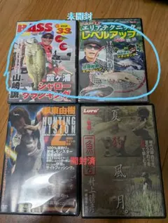 2026年最新】釣りDVDの人気アイテム - メルカリ