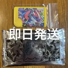 希少☆ポケモンセンター ボーマンダ 缶バッジ 2003 ポケドール - メルカリ