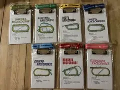 Item thumbnail for item fab674a5-bc5c-406c-b2c1-61b8f541f4ac