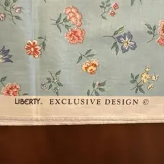 Item thumbnail for item ea816498-f433-4a1d-bff4-46d18cb93e23