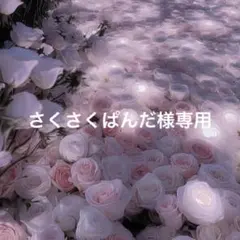 さくさくぱんだ様専用 カリナステッカー