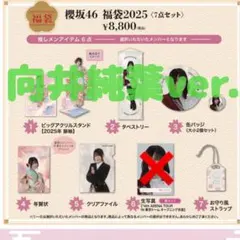 櫻坂46 向井純葉 2025年福袋 生写真以外 まとめ売り
