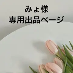 みょ様専用出品ページ