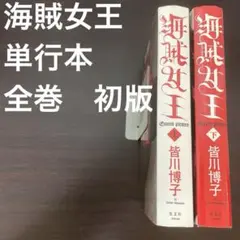 セット価格‼️メルカリ最安値⁉️09/07時点 スカイネット 1/12 kawasaki Ninja ZX-25R Mブラック - メルカリ