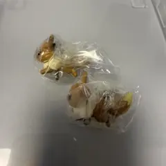 イーブイ フィギュア 2体セット ガチャガチャ