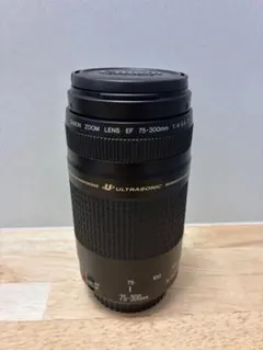 2026年最新】EF 75-300mm F4-5.6 is usmの人気アイテム - メルカリ