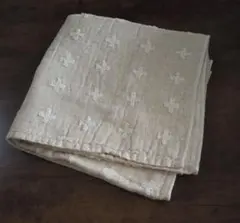 Item thumbnail for item 00bade82-bad0-402f-922a-7991ce1f7ee7