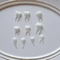 ホワイト歯形ステッカー10個セット おはじきシール